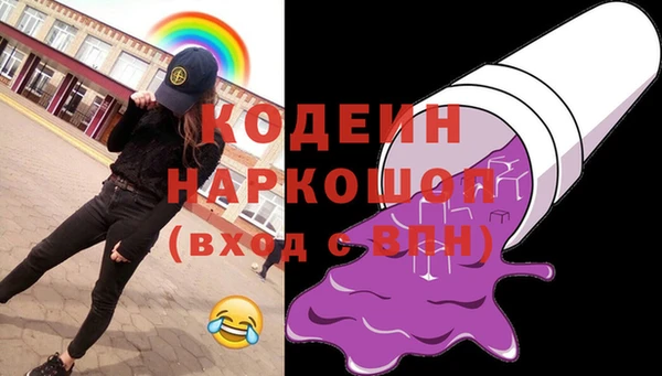 шишки Верея